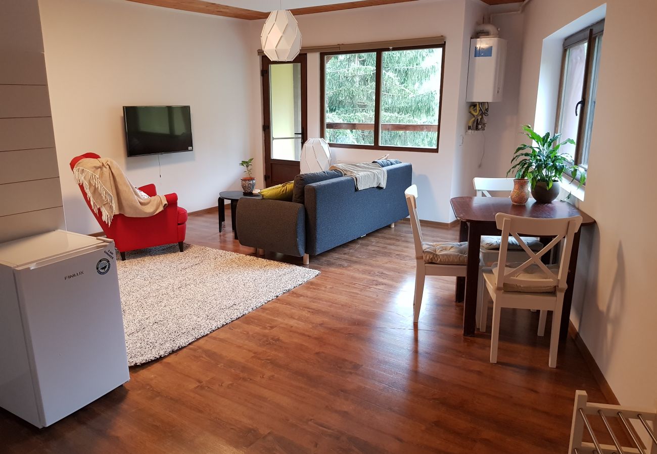 Apartamento en Sinaia - Olala Forest Apartment 1.1
