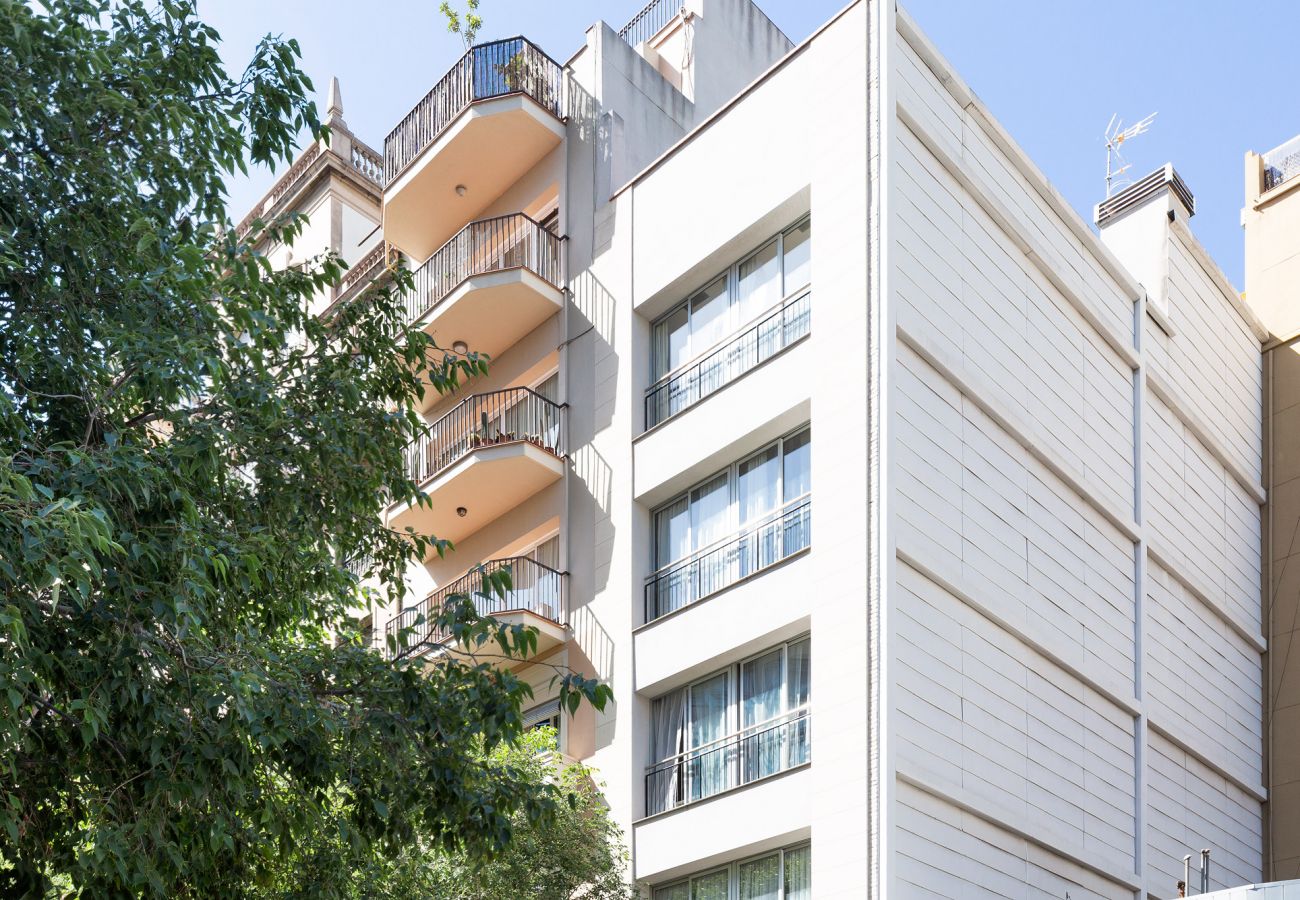 Apartamento en Barcelona - Olala Casanova Apartment 3.1