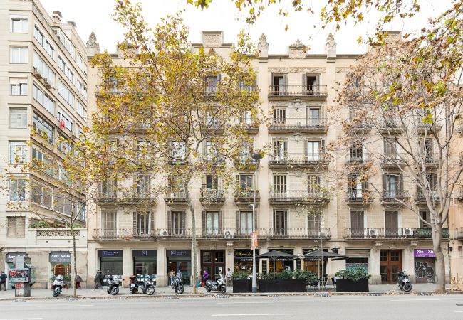 Apartamento em Barcelona - Olala Señor Urgell Apartment